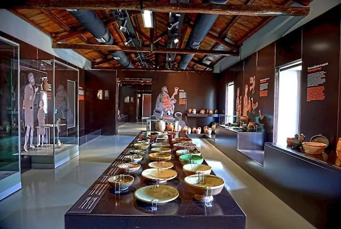 50 Danaides アパート *