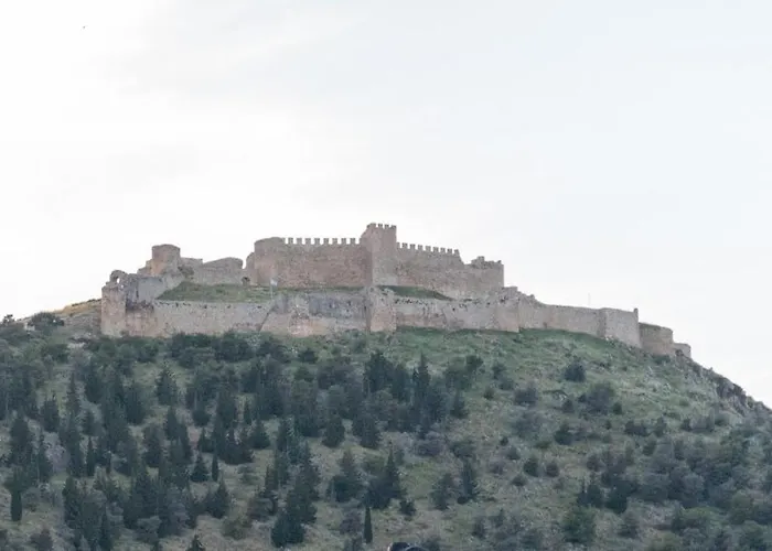 50 Danaides アパート *